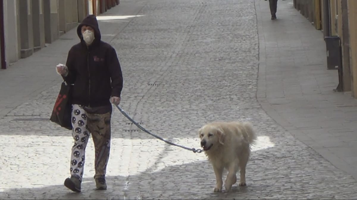 Ya es obligatorio para los propietarios limpiar los orines de sus animales