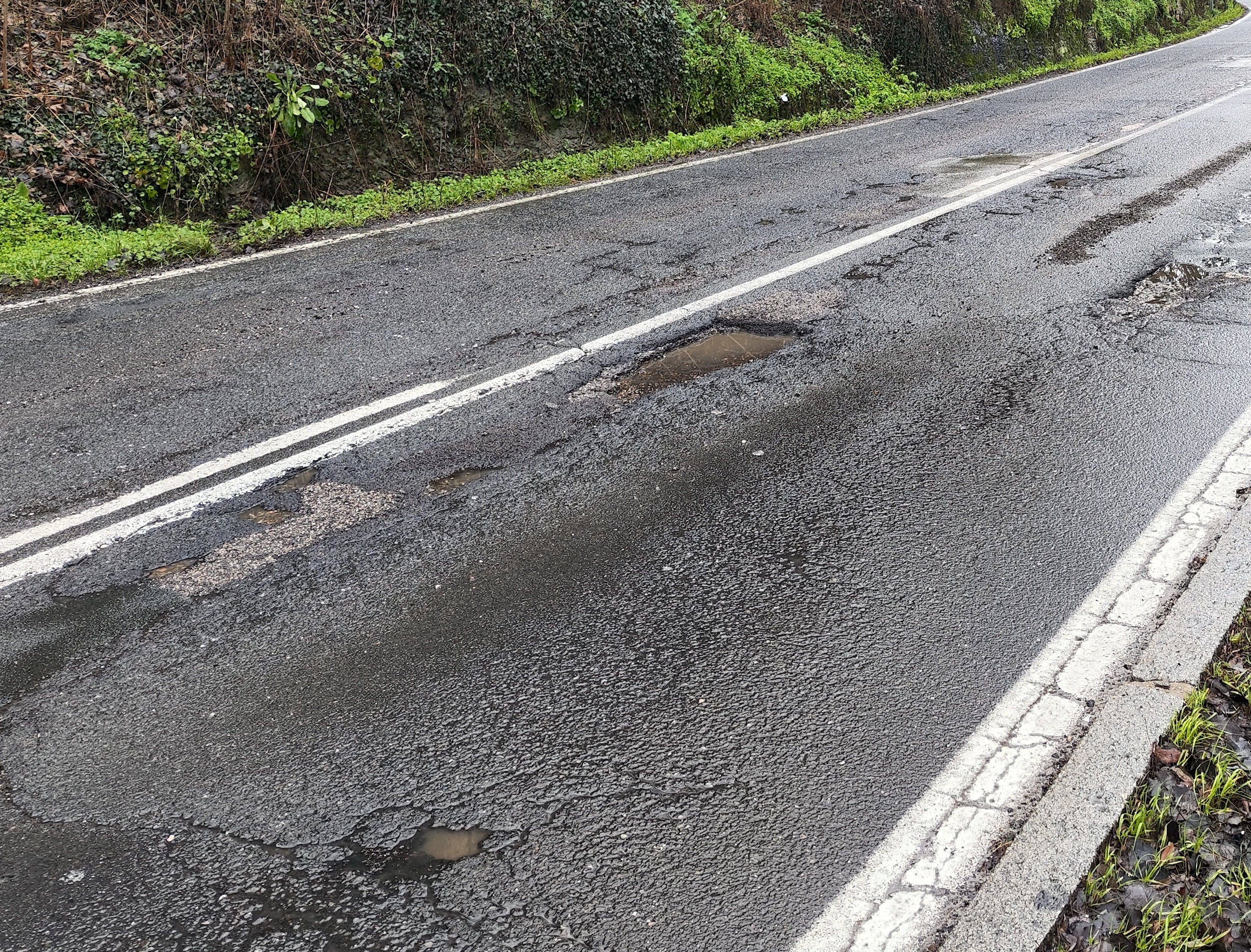El PSOE pide a la Junta el arreglo urgente de la calzada del Paseo de Santo Domingo