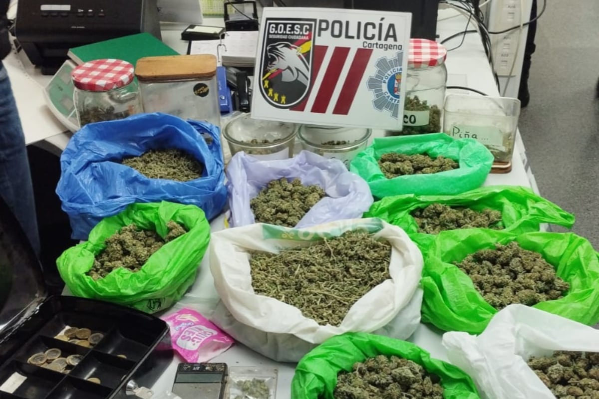 Operación policial contra el tráfico de drogas