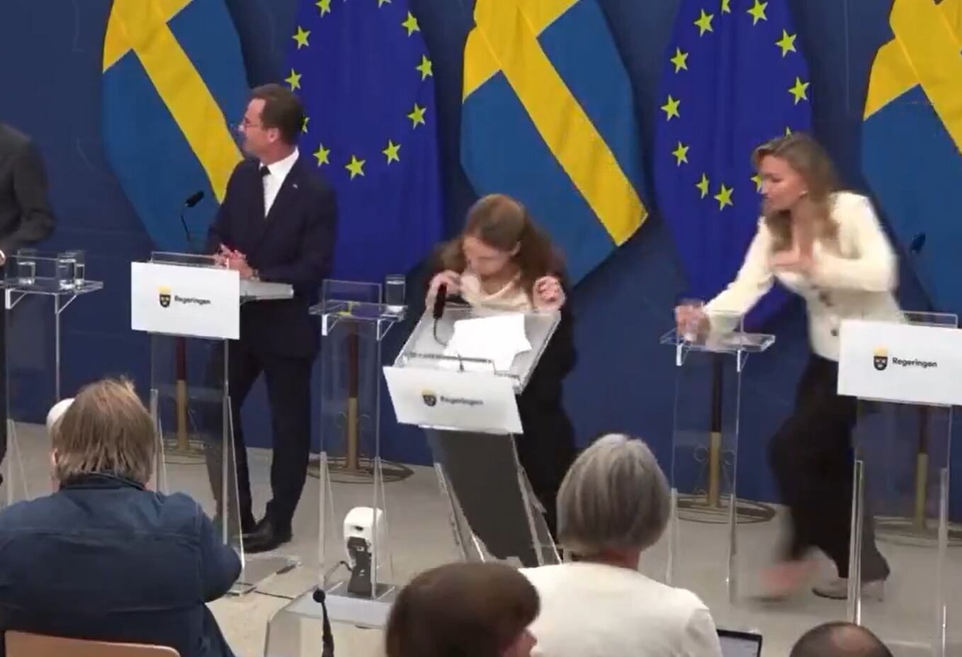 La nueva ministra sueca de Sanidad, Elisabet Lann, se desmaya en su primer día.