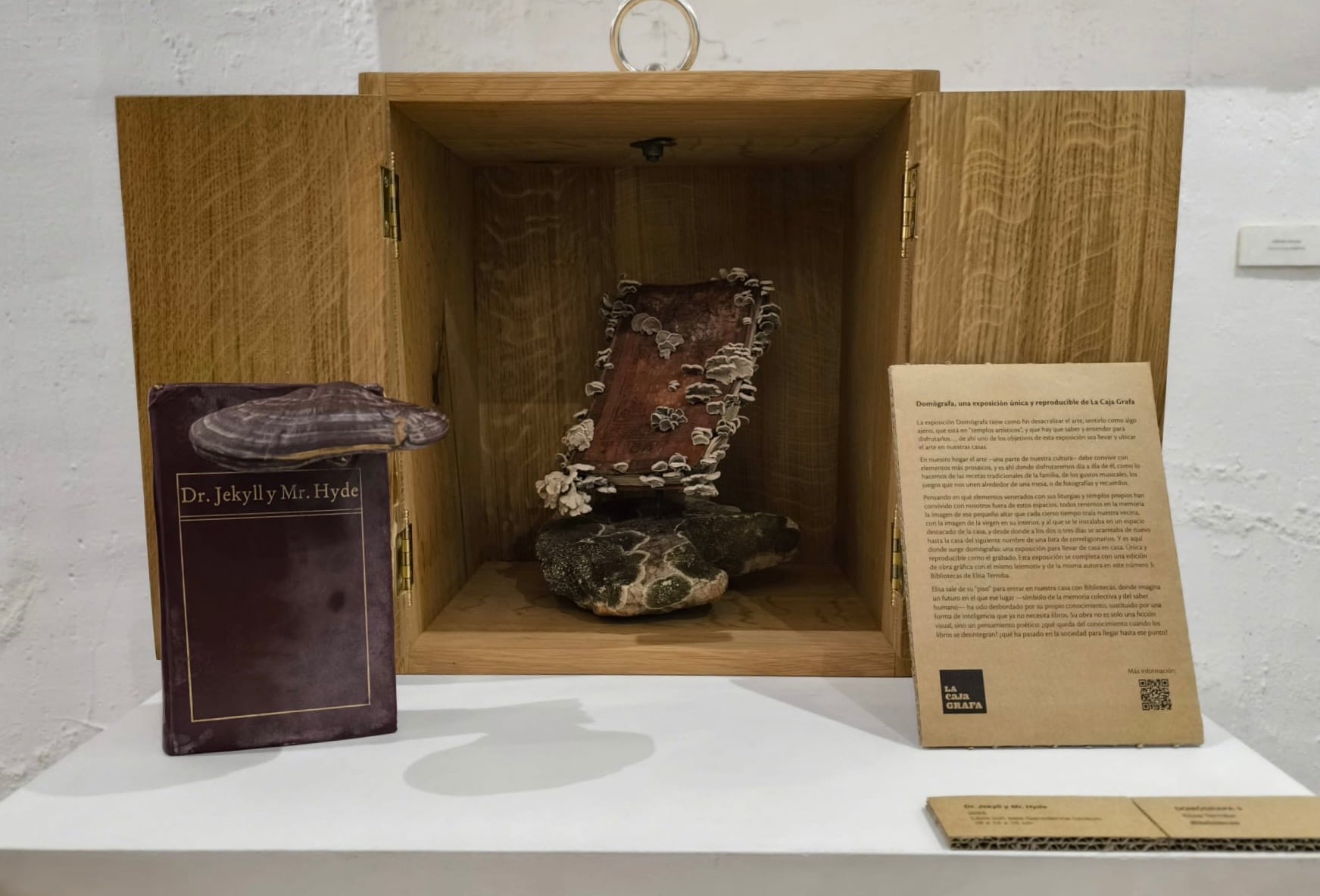 "Humanos y hongos “leen” el libro de maneras distintas pero equivalentes".