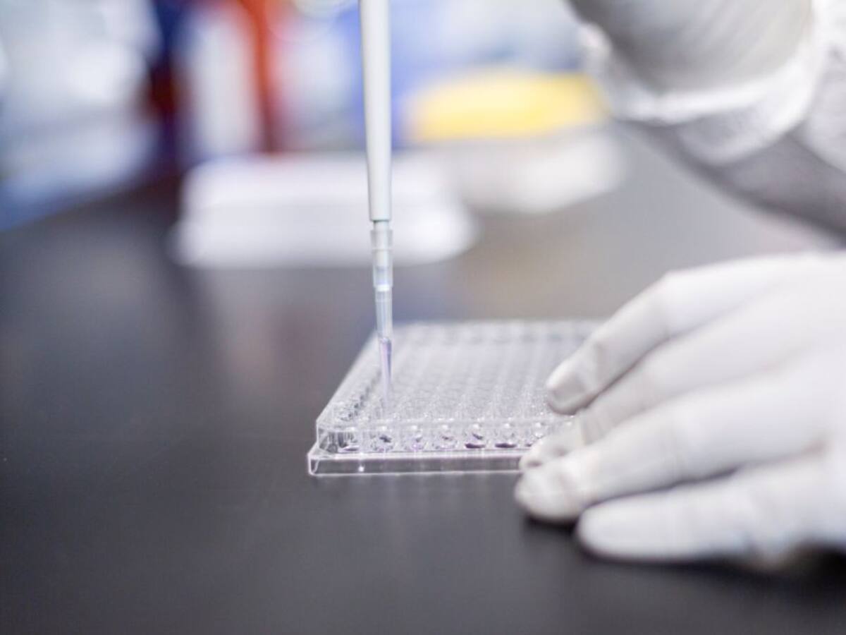 Moderna contra Pfizer: dos vacunas similares en cuyas diferencias puede estar la clave del éxito