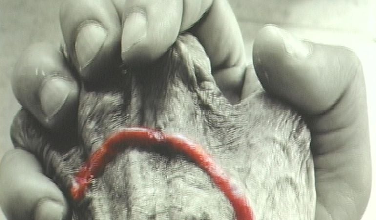 El artista cubano Ernesto Rancaño expone en el CEART de Fuenlabrada