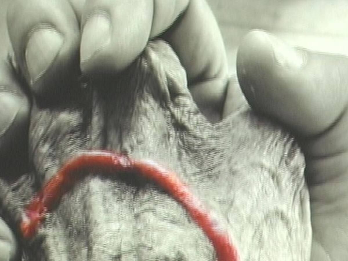 El artista cubano Ernesto Rancaño expone en el CEART