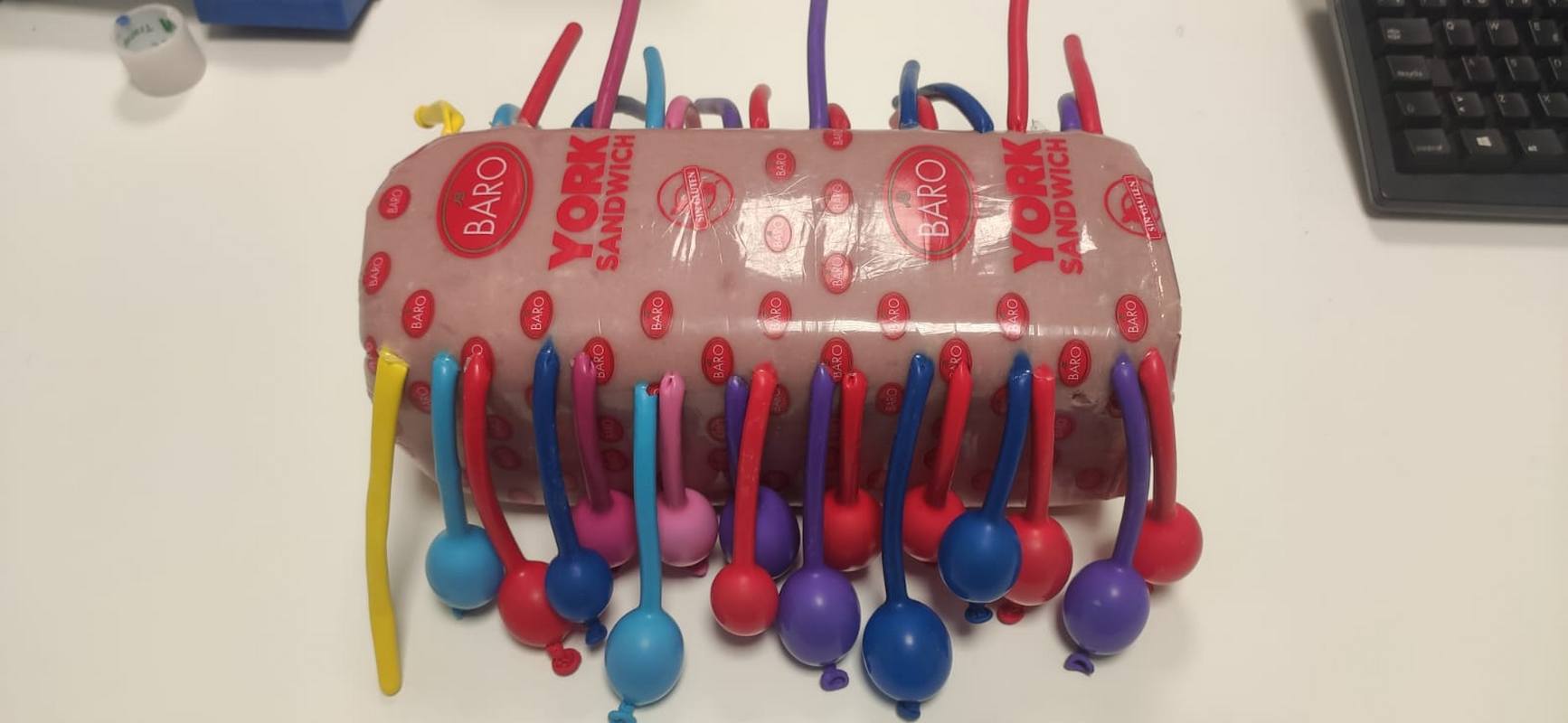 Un jamón preparado para prácticas en el hospital de Gandia