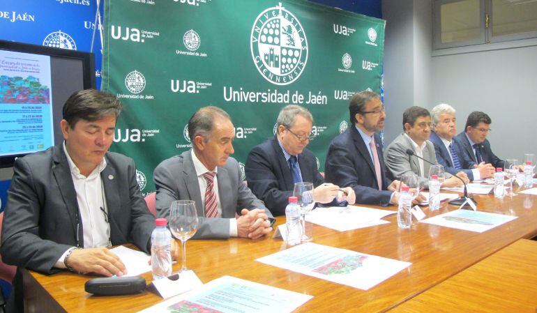 Presentación XI cursos de verano de Torres