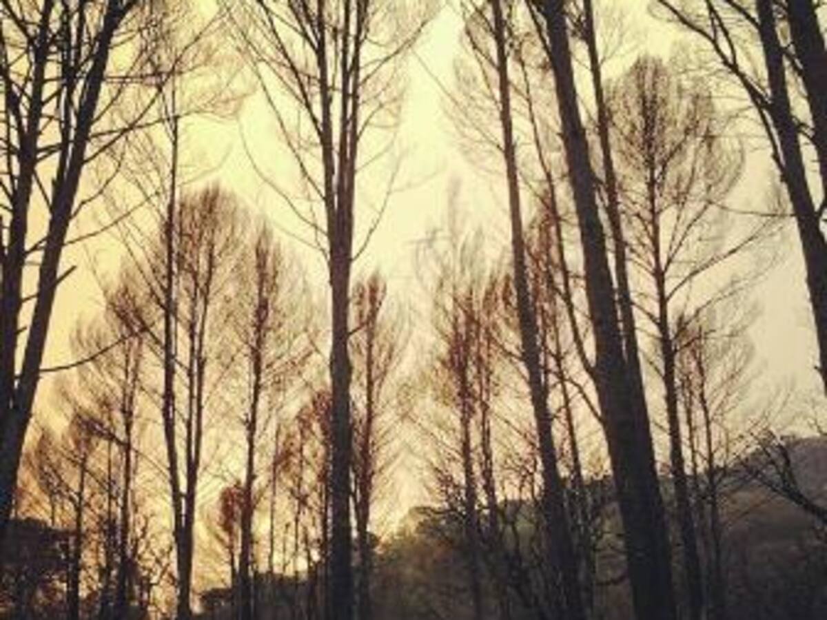 Molts fronts oberts, un any després del #focempordà