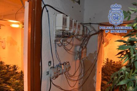 Detalle de la instalación eléctrica de la plantación de marihuana.