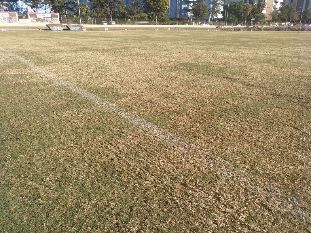 Campo de la Vega de Acá.