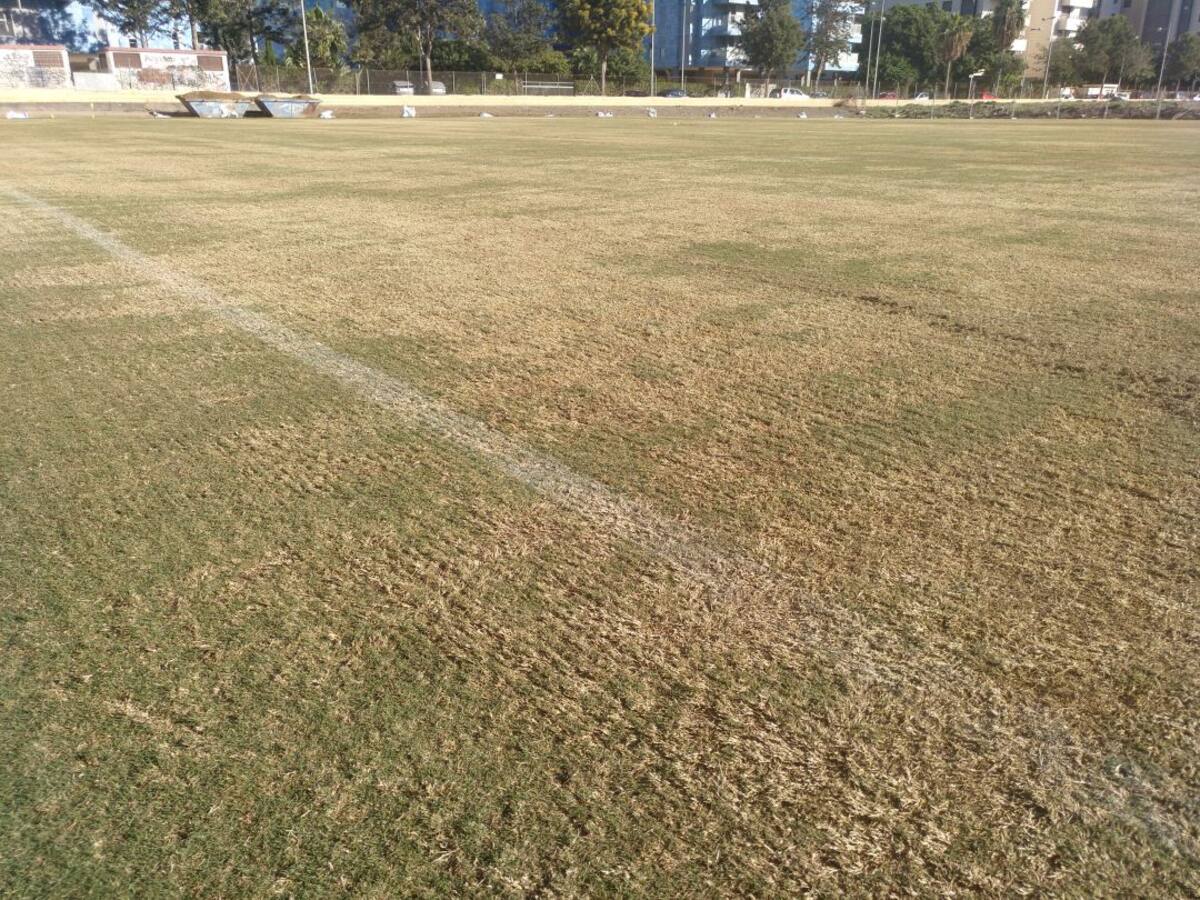 La hierba de invierno también llega a la Vega de Acá