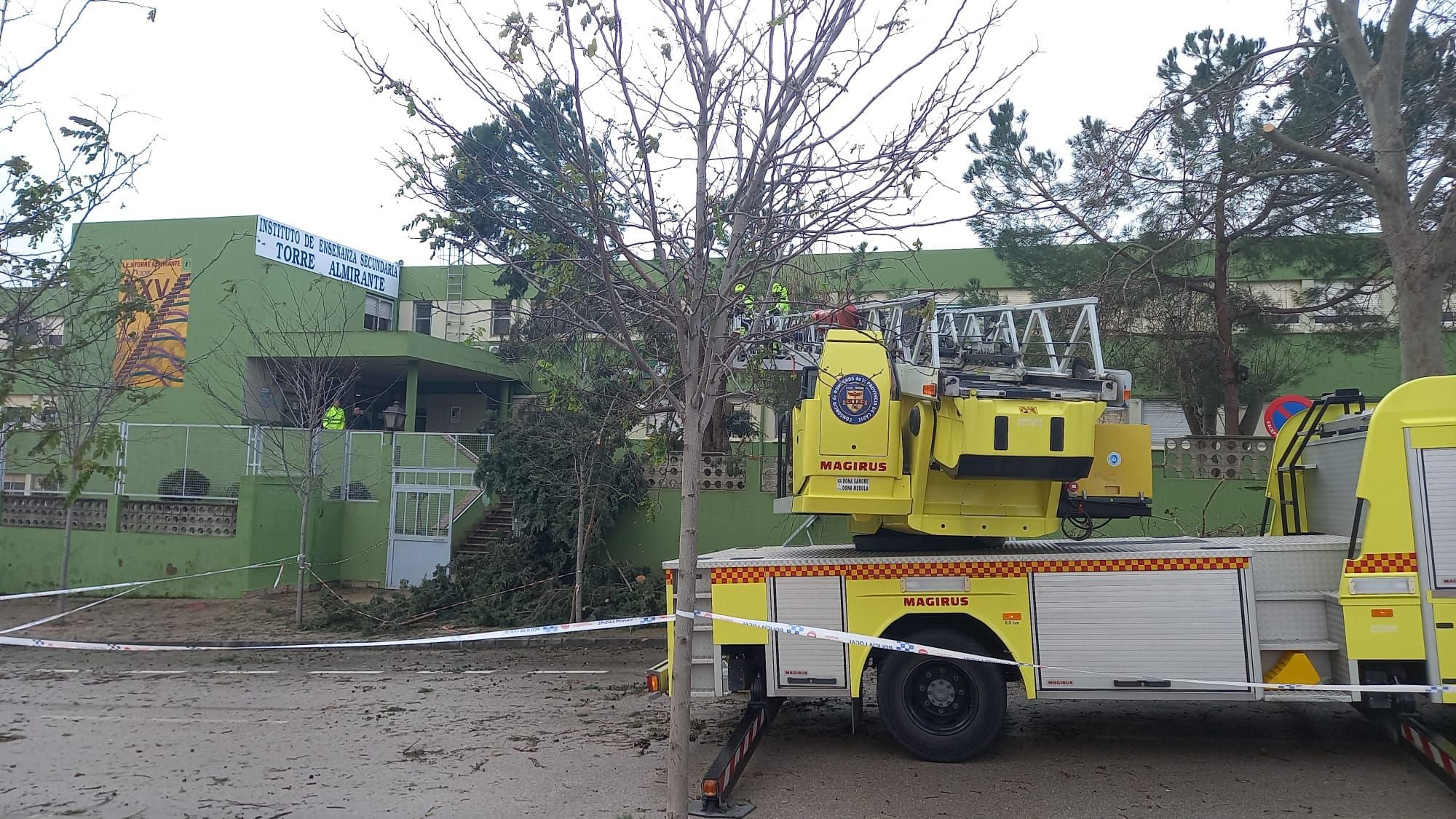 Retirada del árbol en el IES Torrealmirante.
