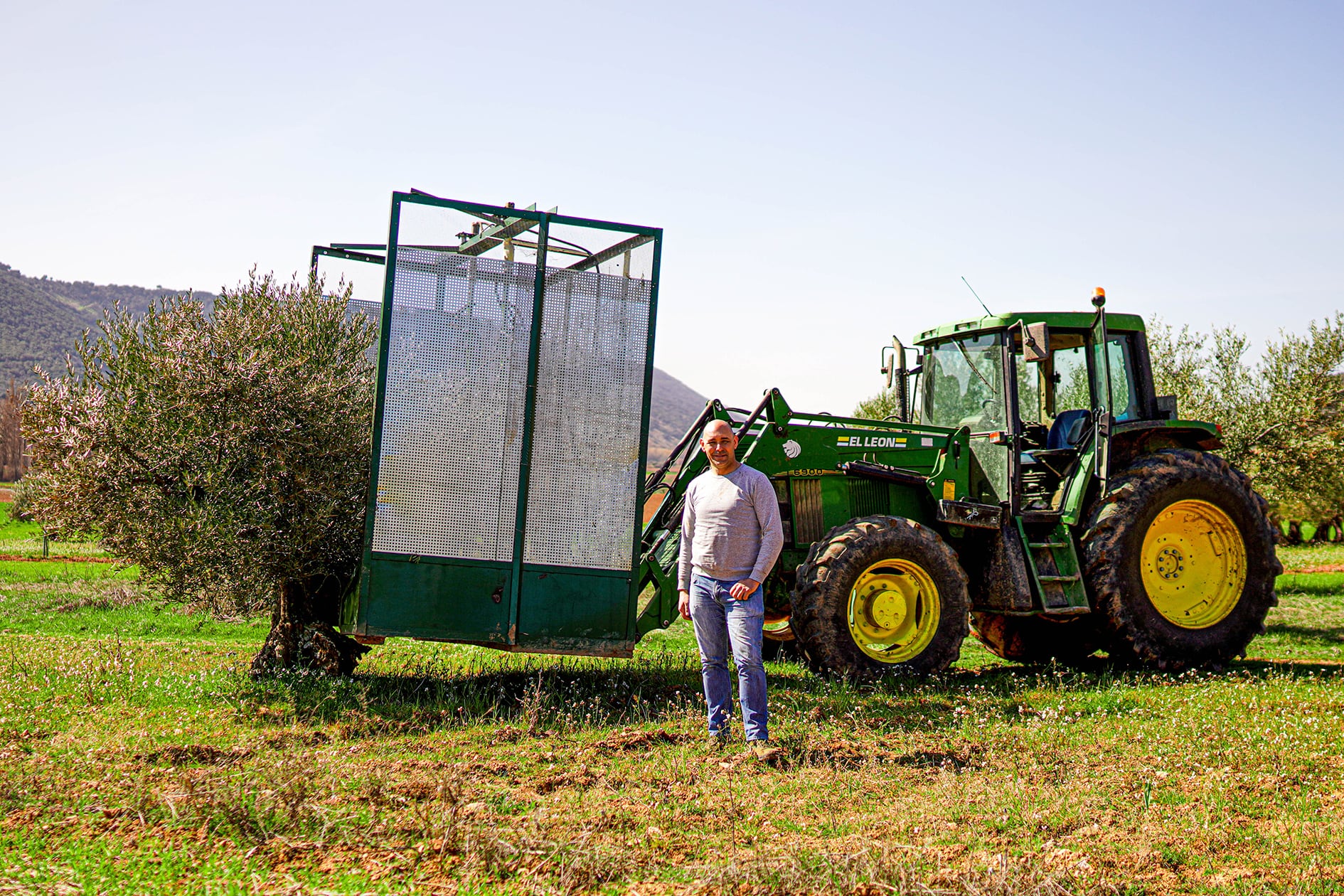 Tomás y su máquina de coger olivas