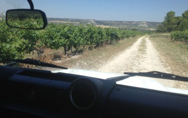 De paseo por los viñedos en 4x4.