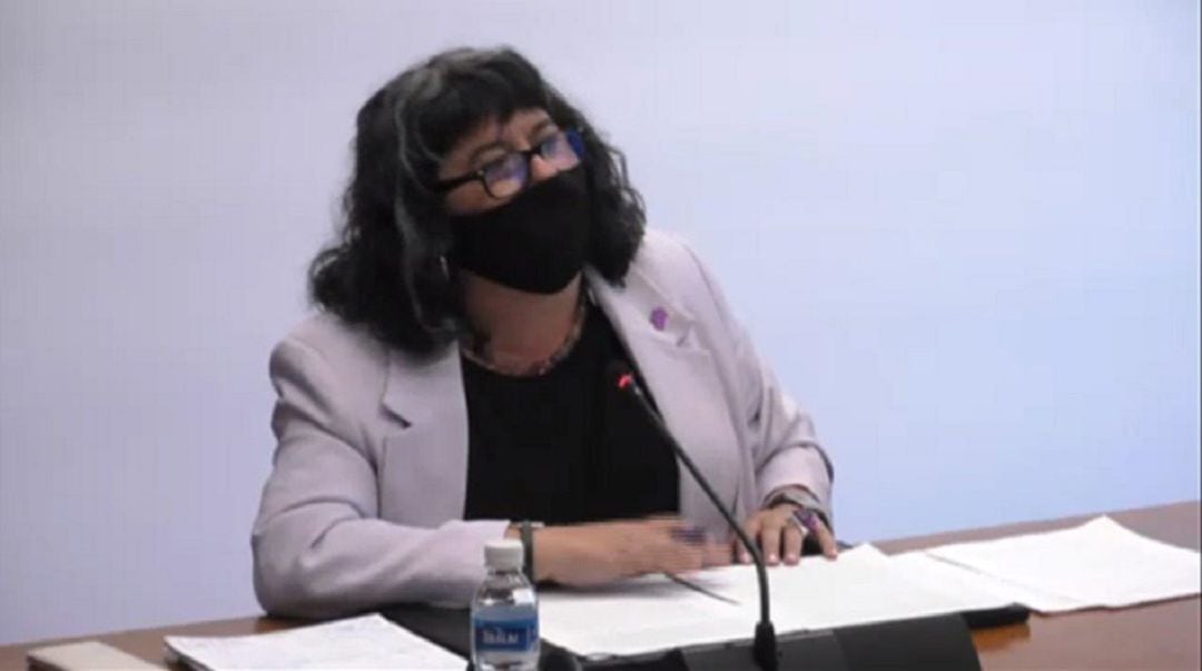 La directora gerente del Instituto navarro para la Igualdad, Eva Istúriz, en un momento de su intervención en comisión parlamentaria.