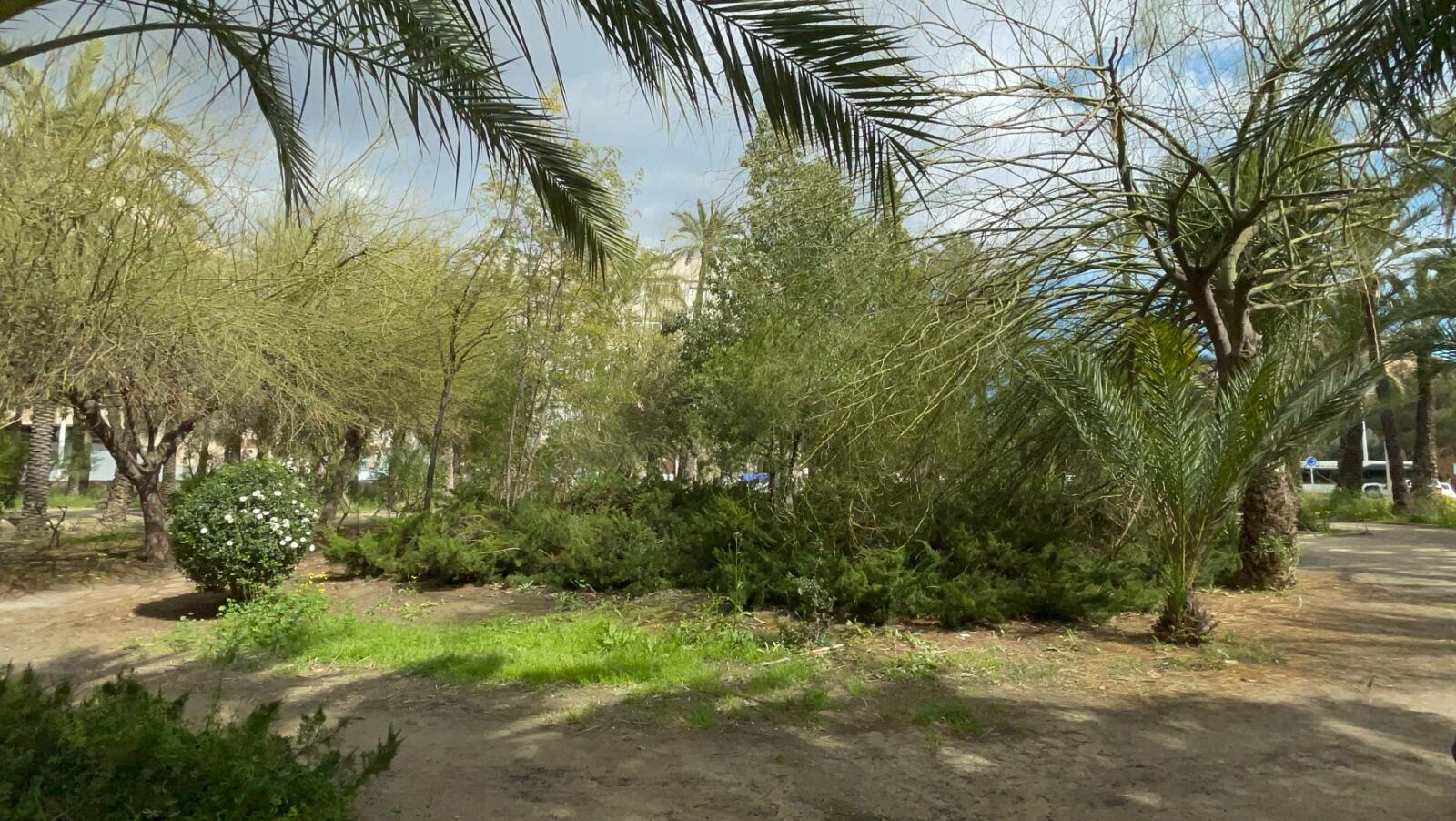 Huerto de Montenegro