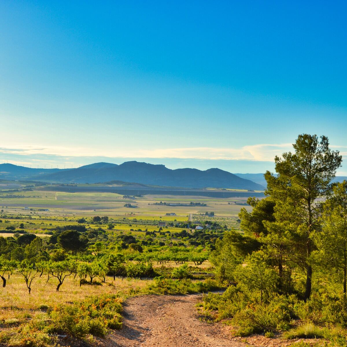 Término de Villena