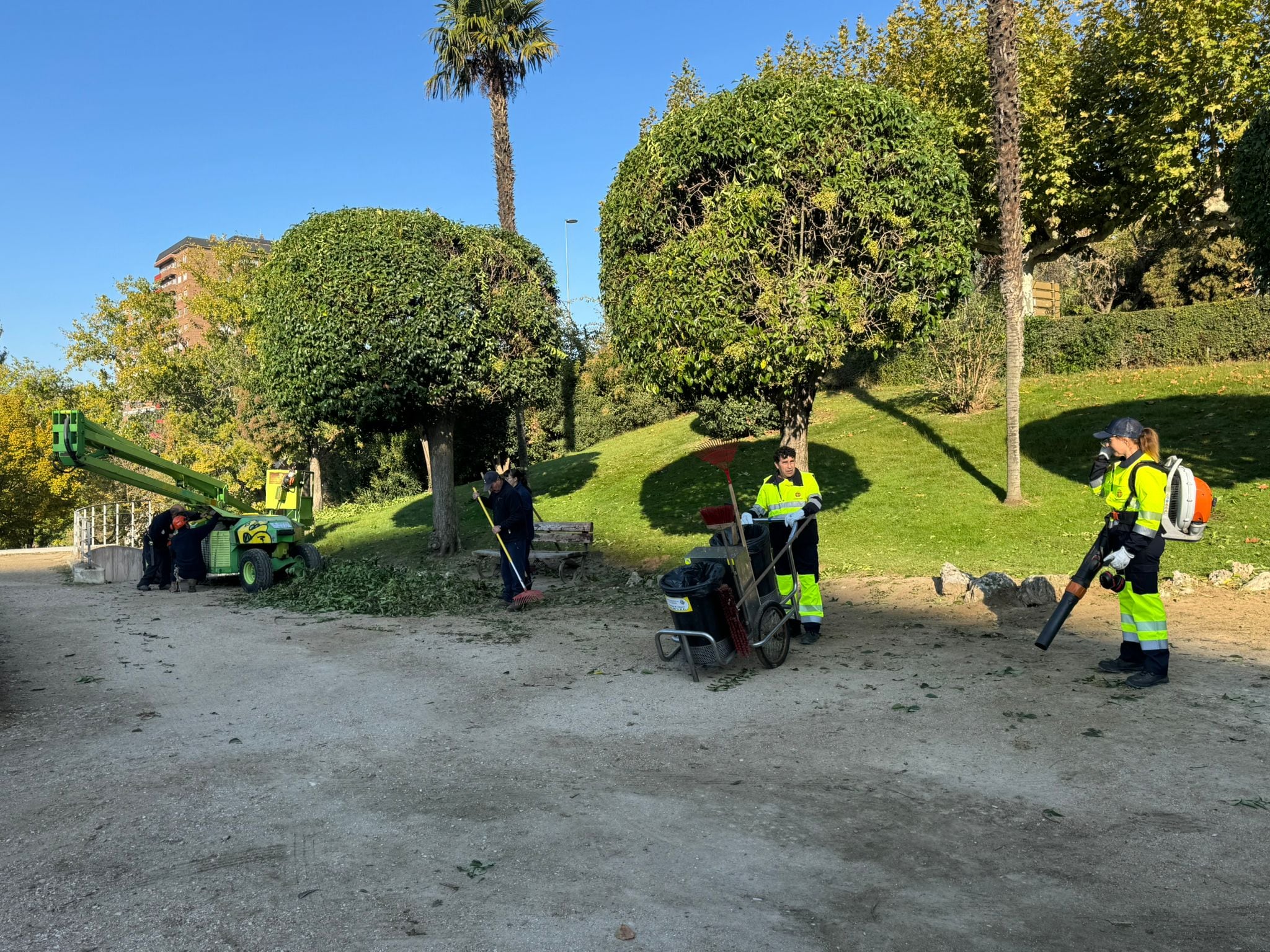 El Ayuntamiento coordina la campaña de poda y recogida de hojas a través de los servicios de Parques y Jardines y Limpieza