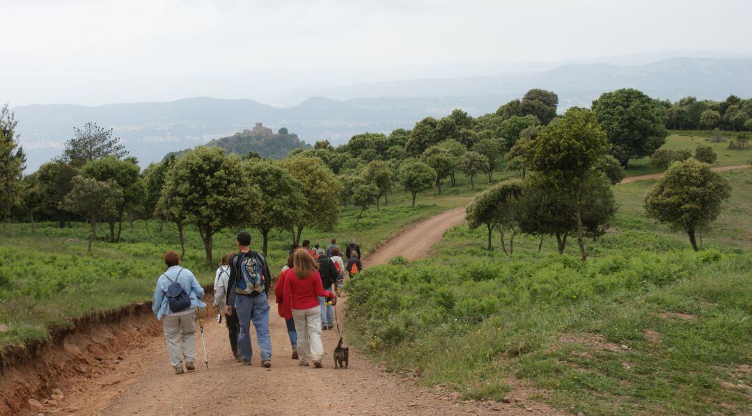 Imatge d'arxiu d'un grup d'excursionises al Parc del Montseny