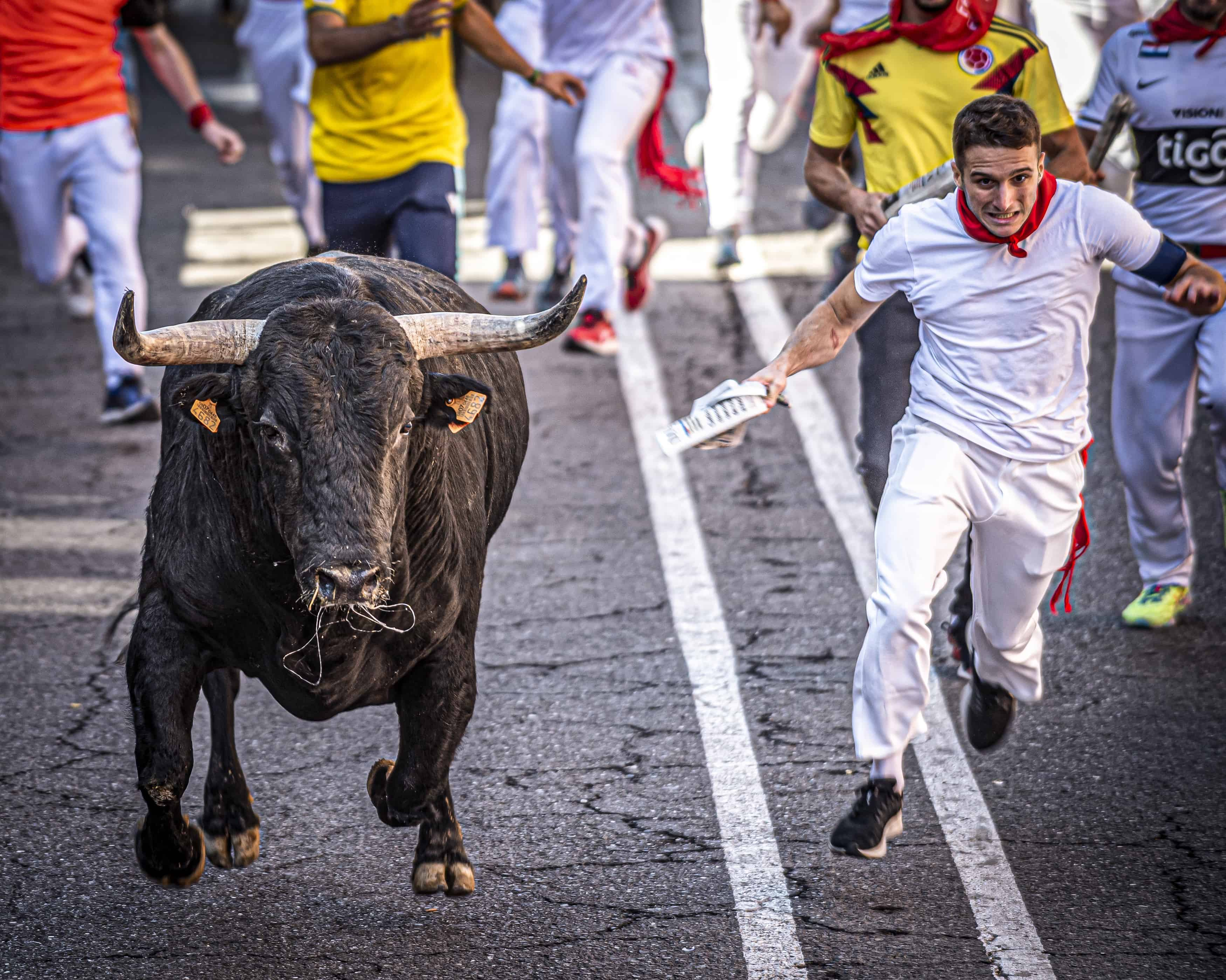 Han participado 38 fotógrafos y se han presentado 170 fotografías del encierro de Sanse, quedando, en segundo lugar, &#039;Me quedo contigo&#039;, de David González