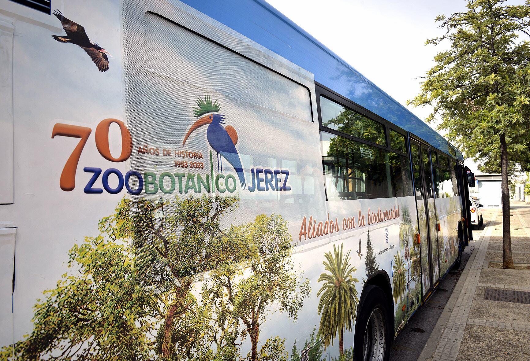 Autobús urbano de Jerez