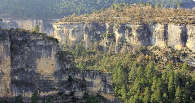 El sendero asciende entre bosques de pino negral.