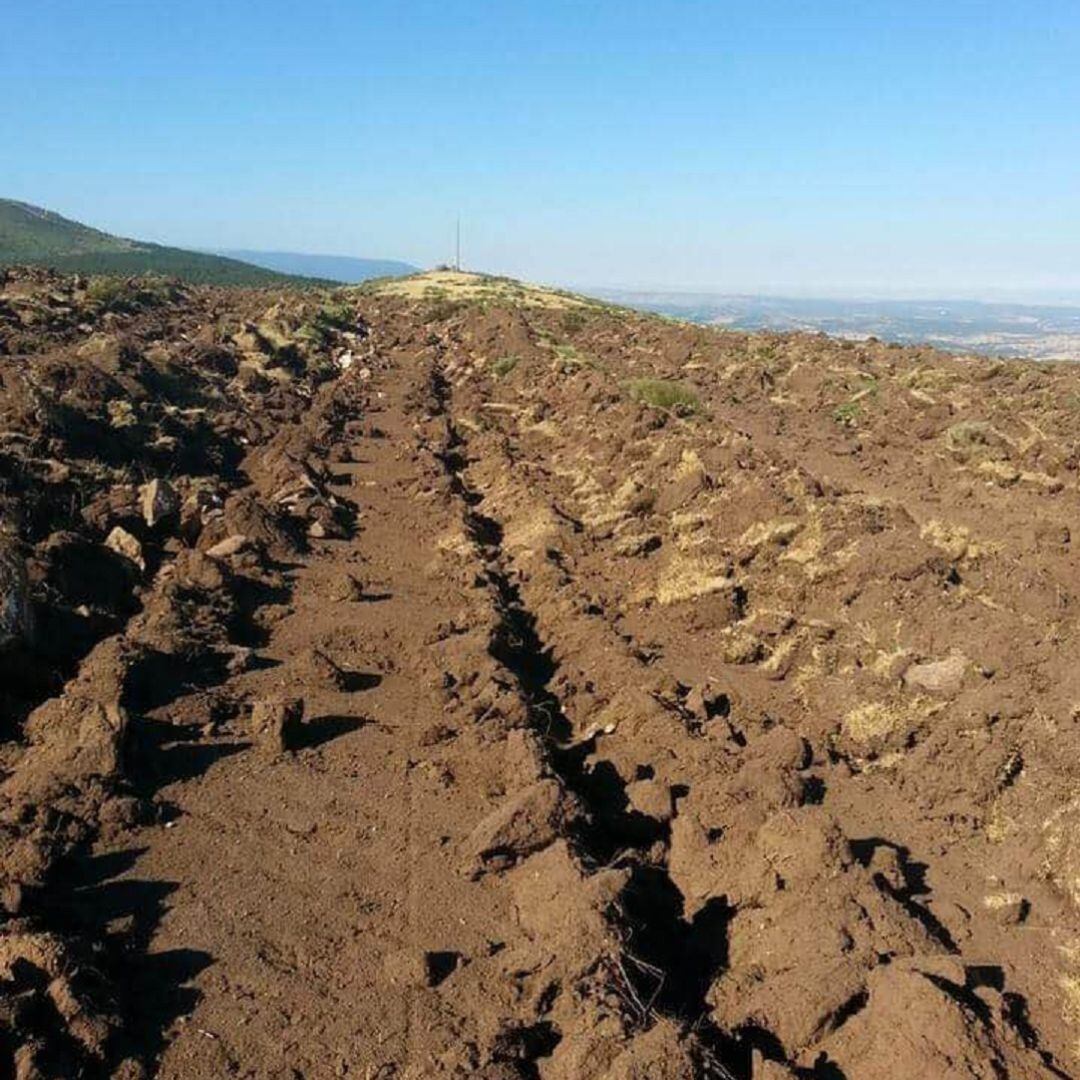 Monte roturado en Sigueruelo