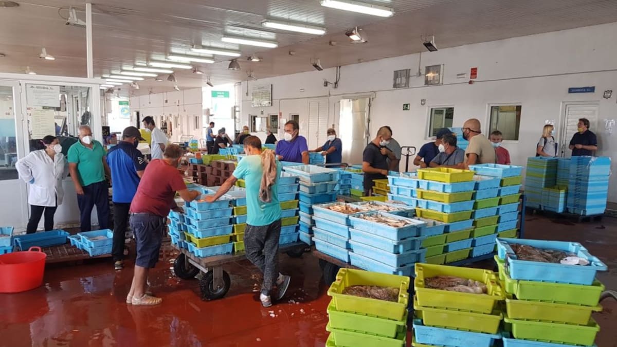 El sector pesquero de la Costa Tropical al borde del paro por una norma “imposible de cumplir” sobre el nuevo control de capturas