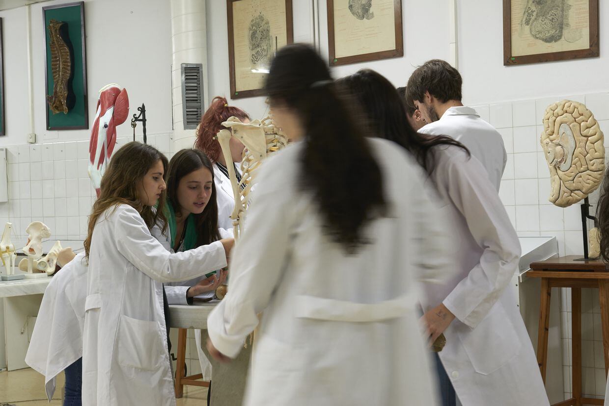 Alumnado de Medicina