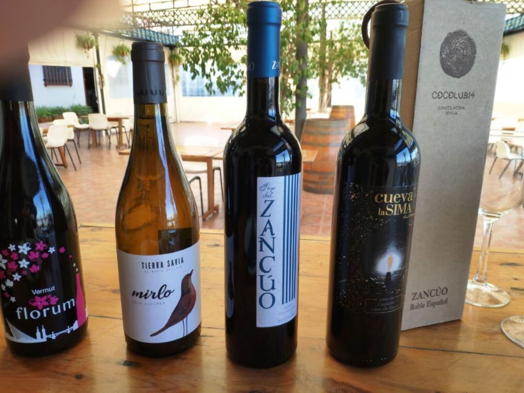 Vinos de Sevilla en la Taberna El Velero, en La Puebla del Río