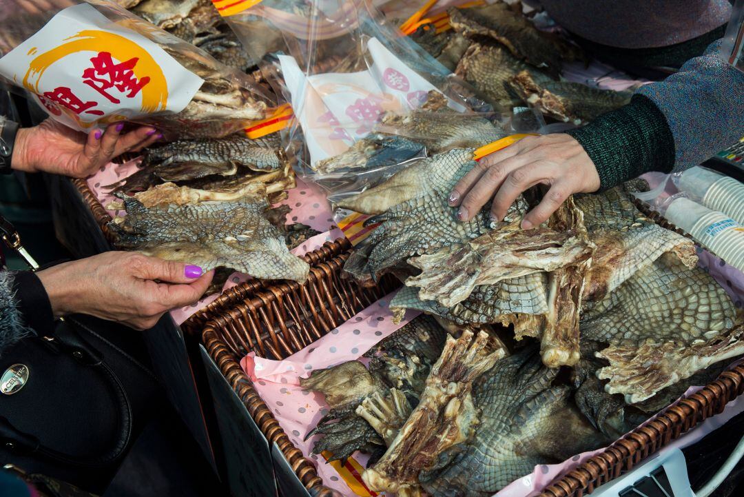 Piel de cocodrilo a la venta en el mercado de Kowloon