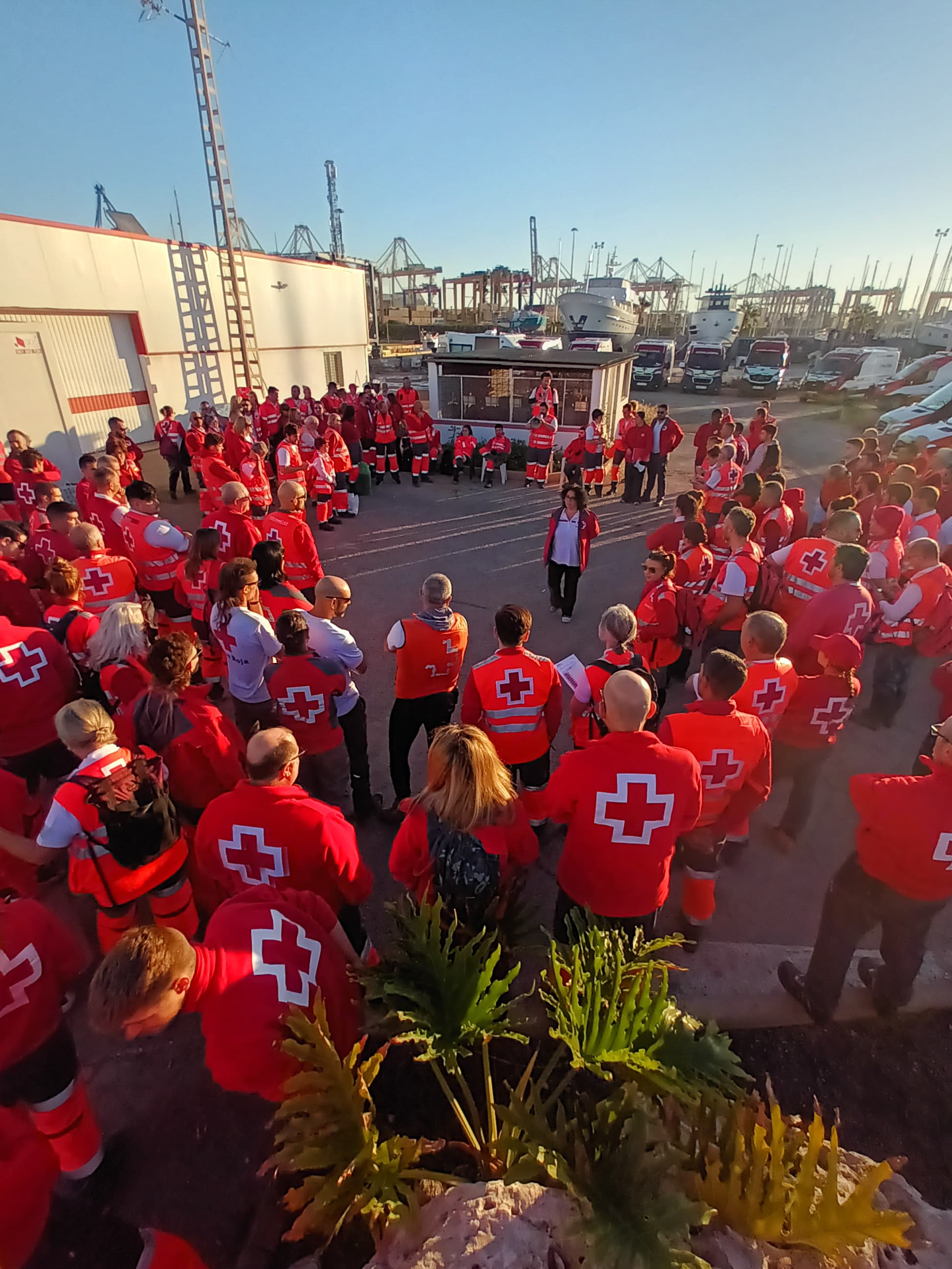 Momento de planificación durante la mañana de cada jornada de ayuda.