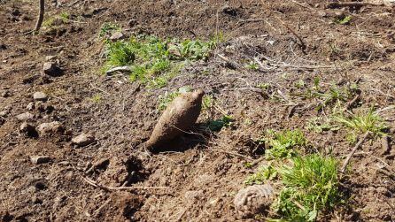 Imagen de uno de los dos artefactos hallados en la excursión por Akondia