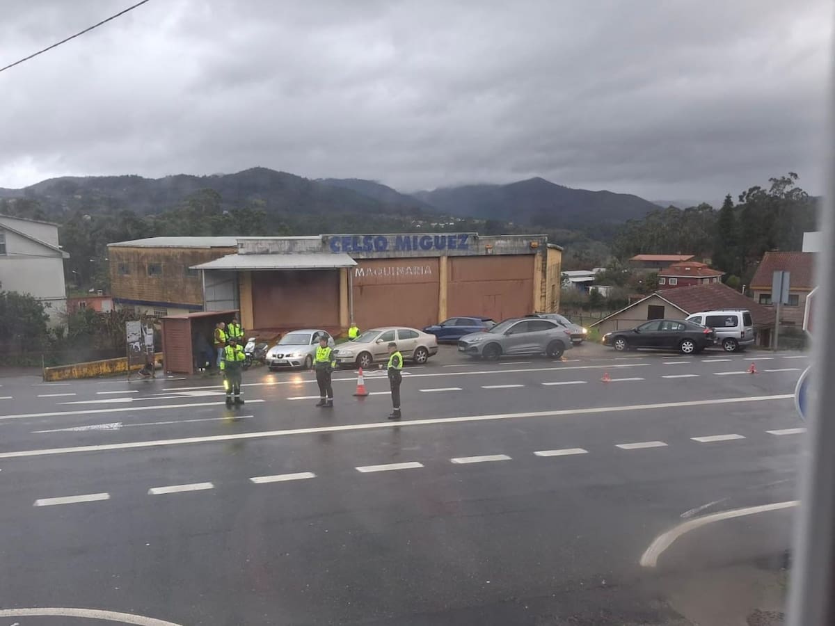 Nuevo atropello mortal en la N-541 en Tenorio