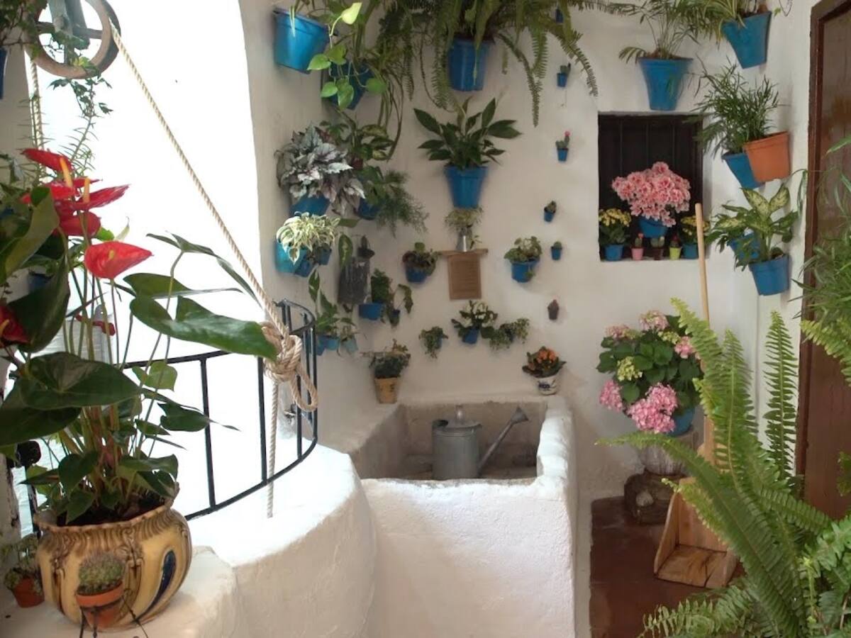 Estos son los ganadores de los premios en el Concurso de Patios de Córdoba