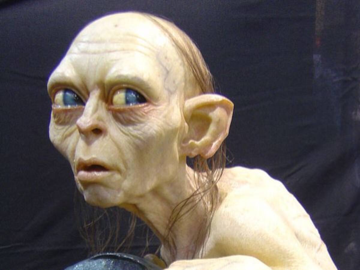 Bautizan a una nueva especie de araña con un nombre de 'El Señor de los Anillos'