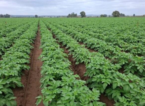 Balance de actividad de Mercadona en Castilla y León en 2024