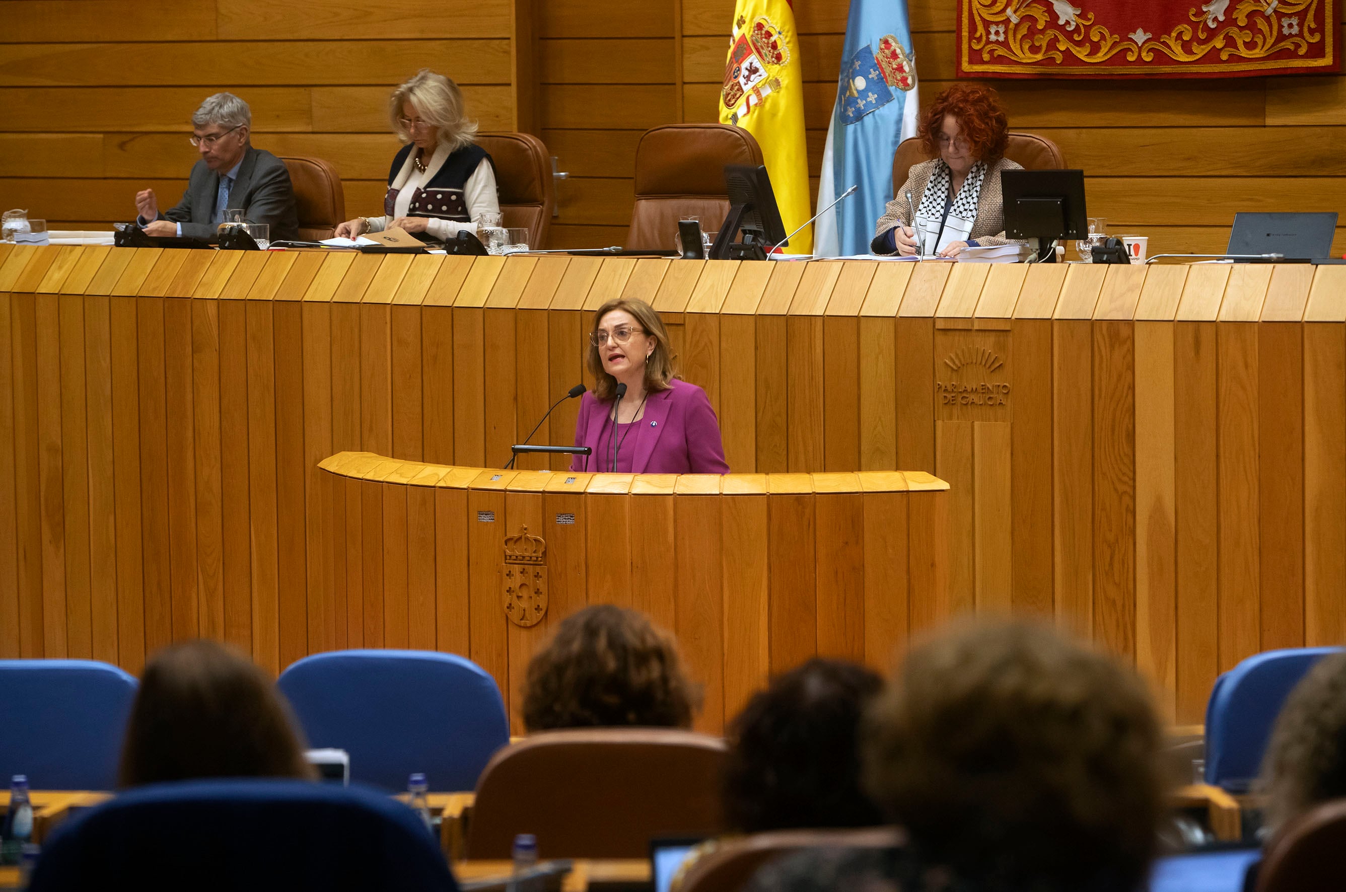  A conselleira de Promoción do Emprego e Igualdade, Elena Rivo, comparecerá no Pleno da Cámara galega a petición propia para informar sobre igualdade e loita contra a violencia de xénero.