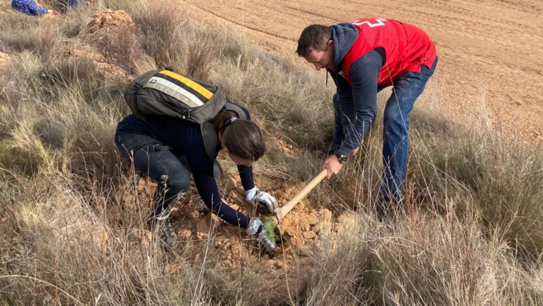 Cruz Roja Española se ha propuesto reforzar su labor humanitaria y social con la medioambiental activando el proyecto &quot;+CO(mpensa)2&quot; 