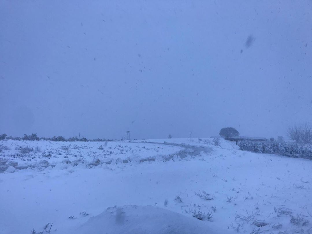 Cambio de sentido A31 altura de Villena