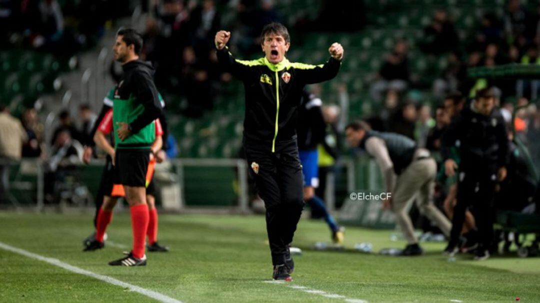 Pacheta celebra un gol del Elche en el Martínez Valero