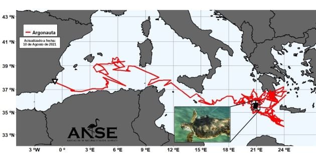 El recorrido de Argonauta