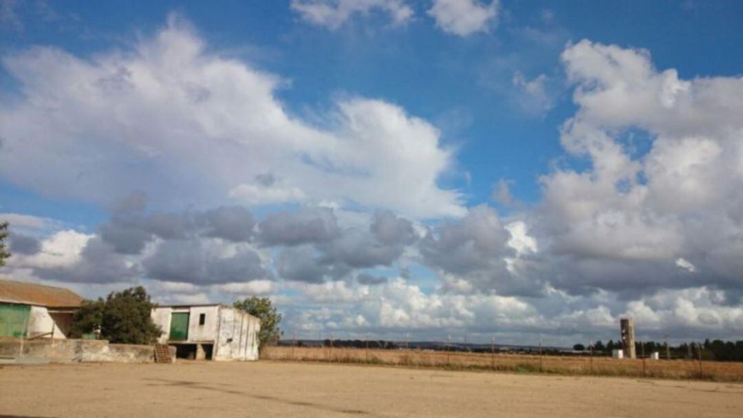 Finca Los Palmares (Trigueros)