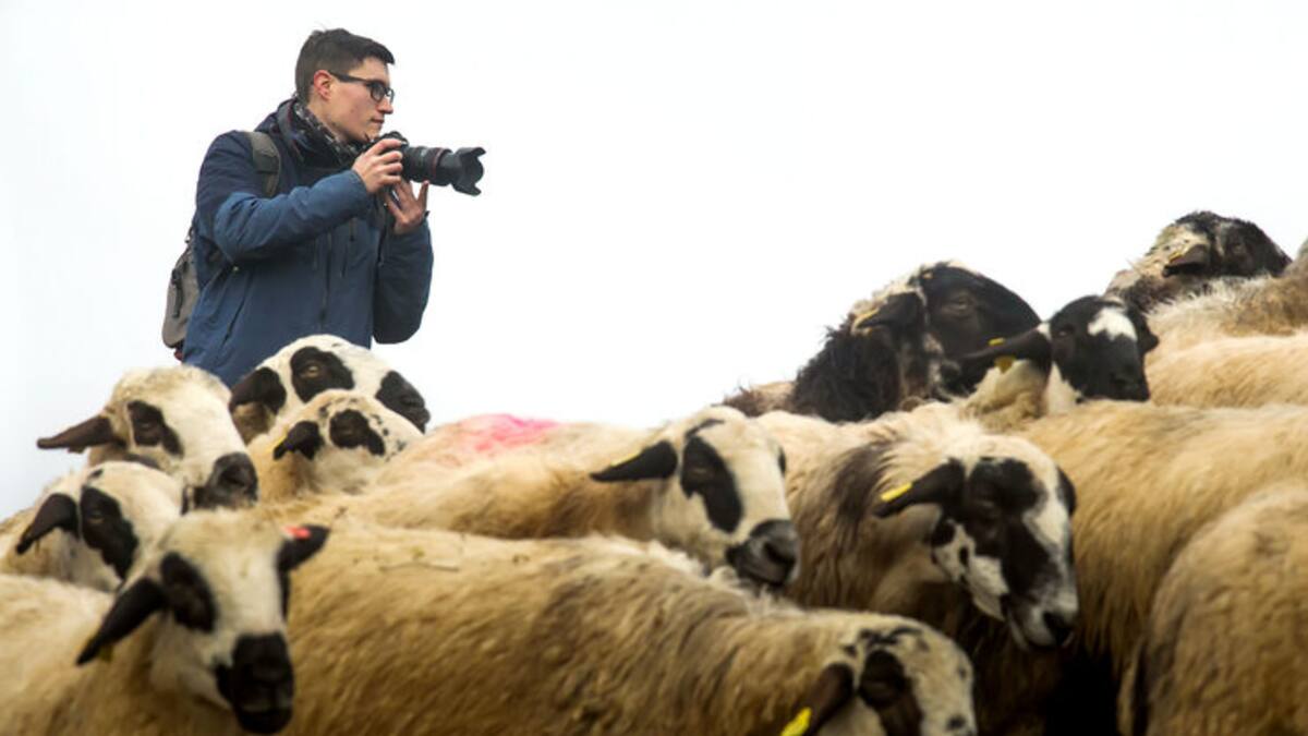 Los guardianes de Pandetrave (07/10/2024)