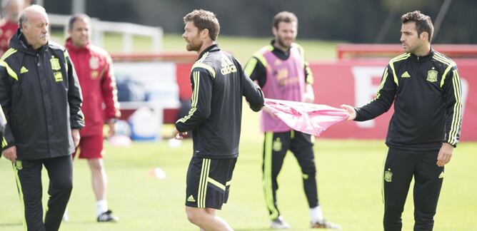 Cesc tira de la camiseta que coge Xabi Alonso en presencia de Del Bosque.