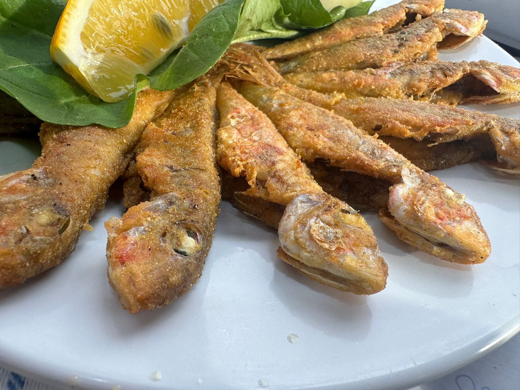 Plato de pescado en Estambul