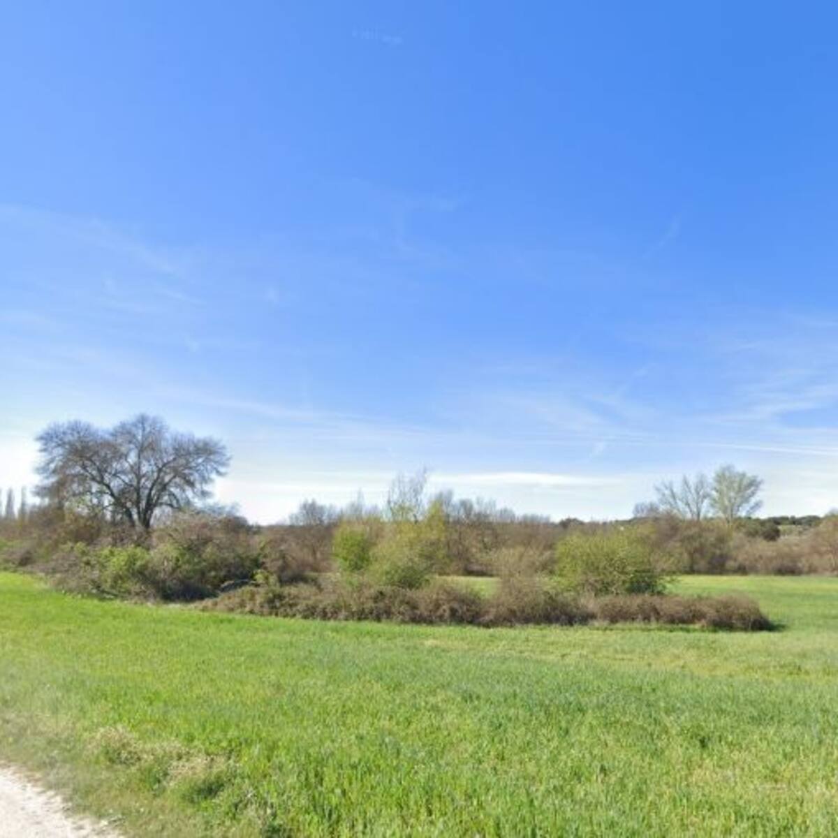 Organizaciones ecologistas y vecinales rechazan el desarrollo urbanístico de Algete Norte