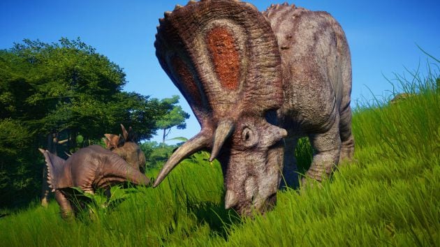 Triceratops, herbívoros pacíficos pero con buenas defensas