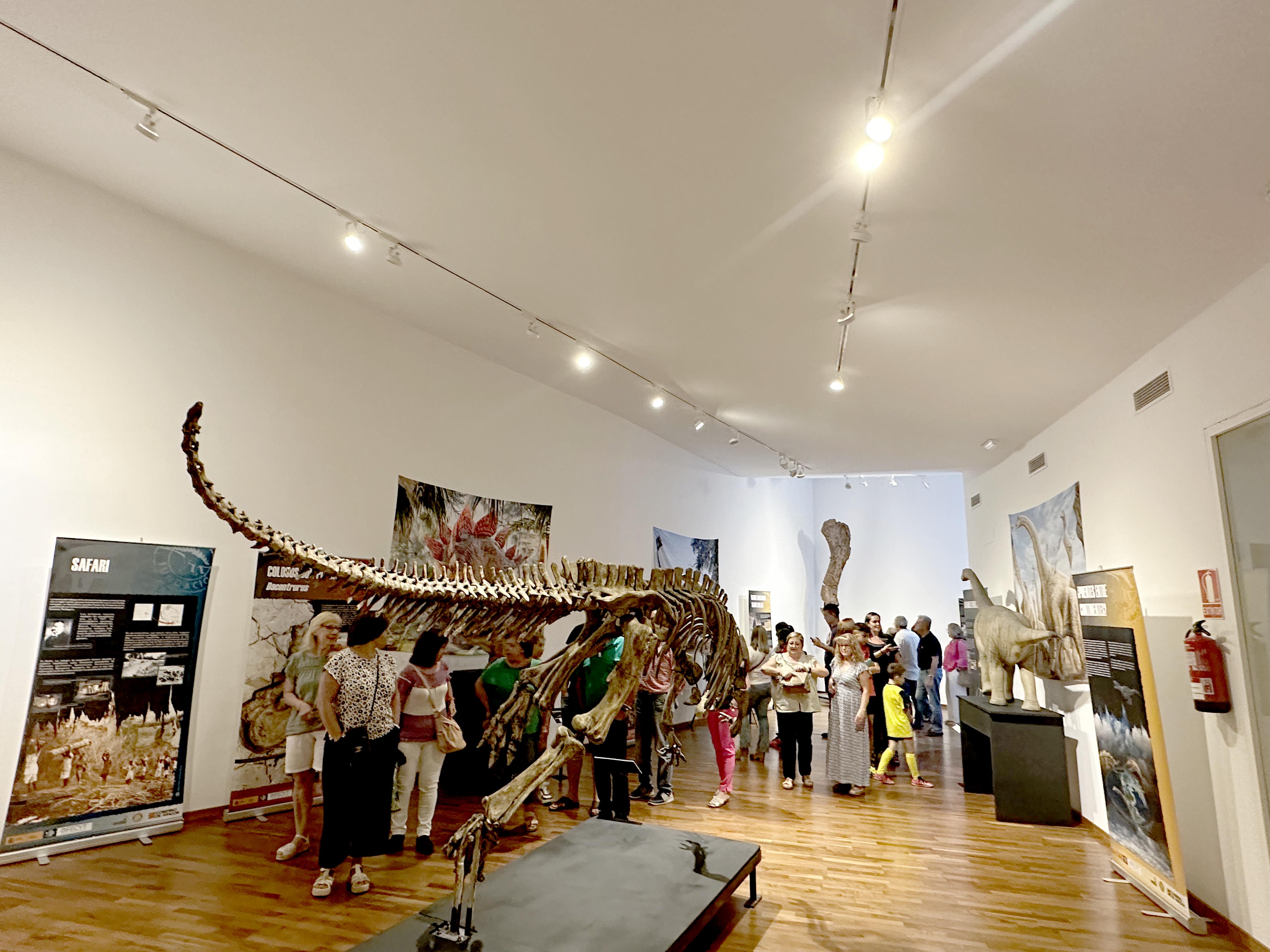 Foto de la exposición de dinosaurios.