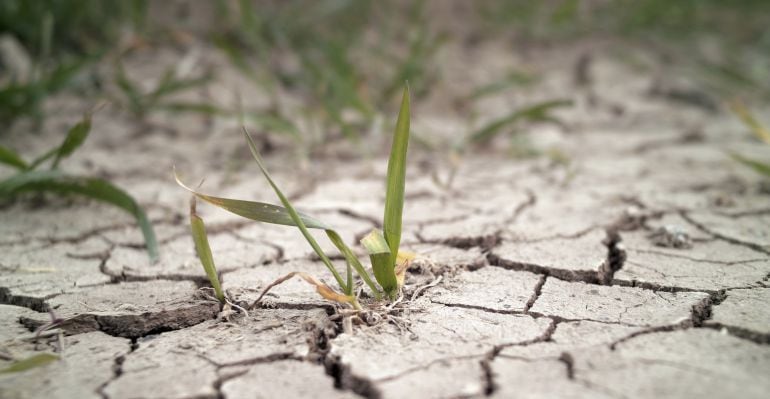 La Unió de Llauradors asegura que si no se toman medidas serias frente al cambio climático, la provincia de Castellón sería una de las zonas más afectadas del mundo