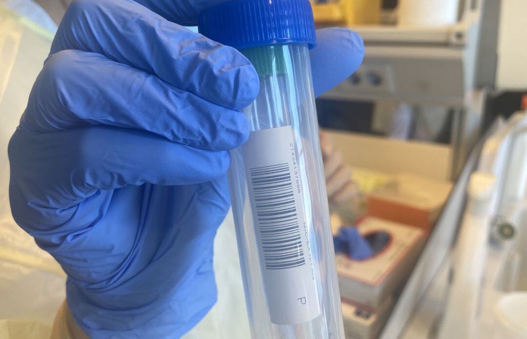 Un sanitario durante la realización de una prueba PCR.